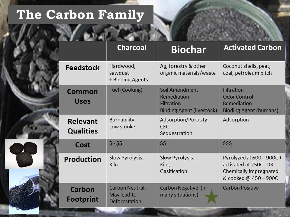 The Carbon Family