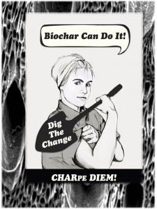 Finger Lakes Biochar - CHARpe Diem!