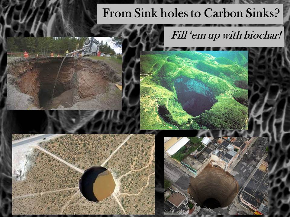 From Sink Holes To Carbon Sinks Finger Lakes Biochar
