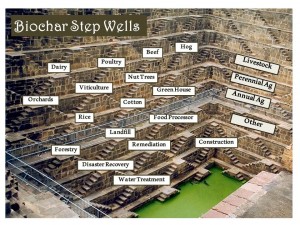 Biochar Step Wells