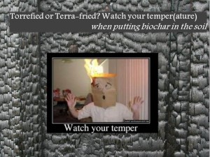 Torrefied or terra-fried