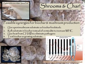 Muschrooms & Biochar