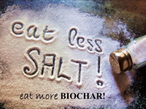 Eat more biochar!