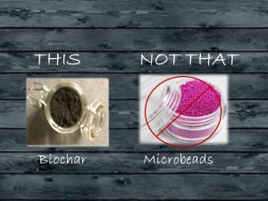 biochar vs microbeads