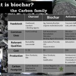 What is Biochar