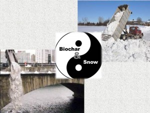 biochar & snow